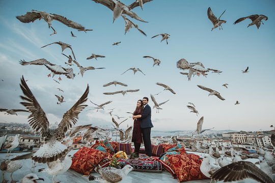 Tour image 12